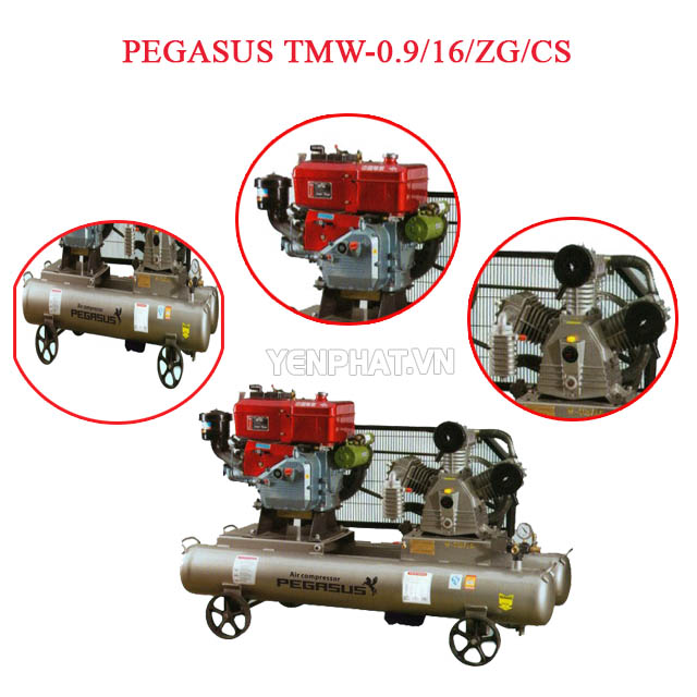Cấu tạo của máy nén khí Pegasus TMW-0.9/16/ZG/CS