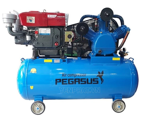 Máy nén khí Pegasus TM-W-1.0/8