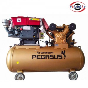 Máy nén khí chạy dầu Pegasus TM-V-1.05/12.5 - 500L