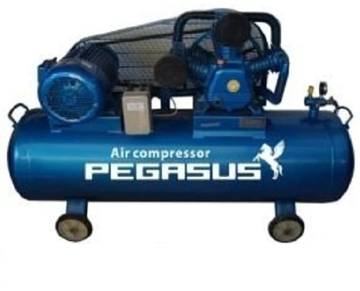 Model Pegasus TM-W-2.0/10-500L có hình dáng gọn nhẹ