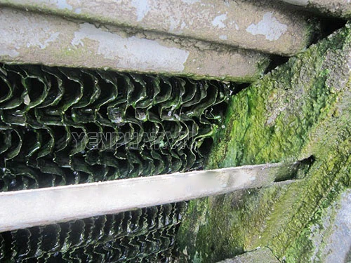 Nguyên nhân, tác hại và cách xử lý rong rêu tháp giải nhiệt