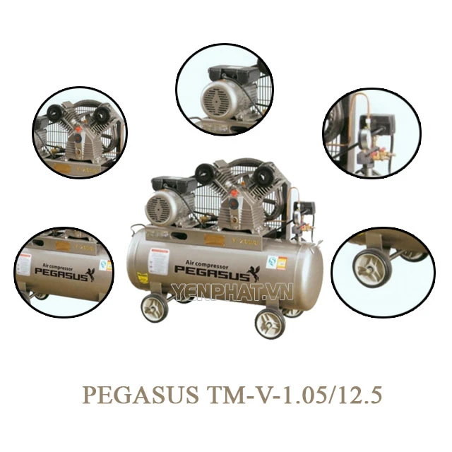 Cấu tạo của máy nén khí Pegasus TM-V -1.05/12.5-500L