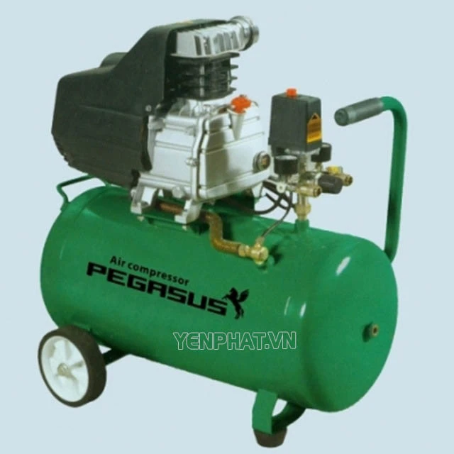 Máy nén khí đầu liền Pegasus TM-0.08/8-B50