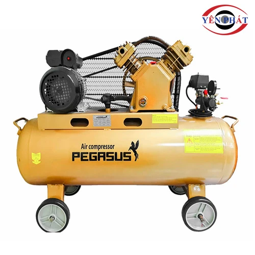 Máy nén khí công nghiệp Pegasus TM-V-0.25/8-120L 1