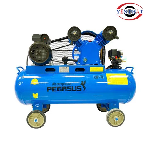 Máy nén khí mini Pegasus TM-V-0.17/8-70L 1