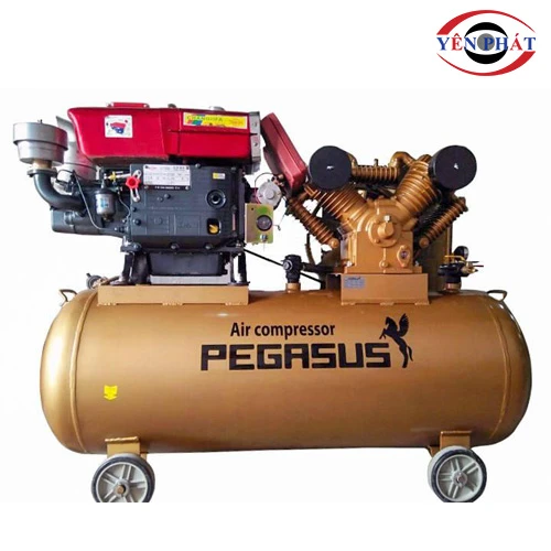 Máy nén khí chạy dầu Pegasus TM-V-1.05/12.5 - 500L 1