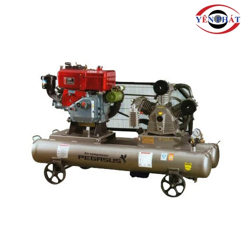 Máy nén khí dây đai PEGASUS TMW-0.9/16/ZG/CS 1