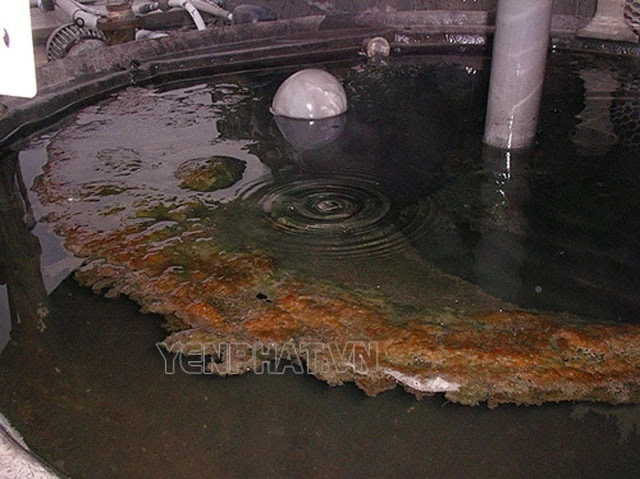 Tình trạng ăn mòn đều ở đế bồn tháp hạ nhiệt công nghiệp