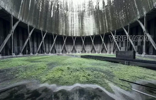 xử lý rong rêu trong tháp giải nhiệt nước công nghiệp