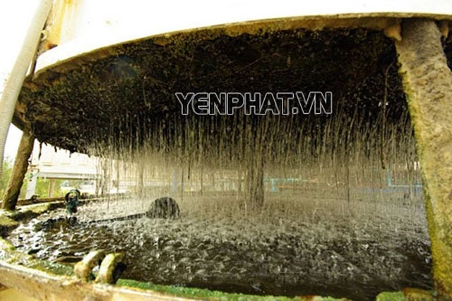rêu có tác hại gì trong tháp giải nhiệt cooling tower