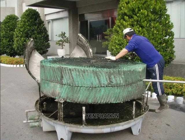 vệ sinh tháp giải nhiệt để loại bỏ rong rêu