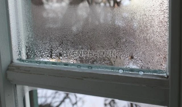 Độ ẩm tương đối và những thông tin bạn cần biết!