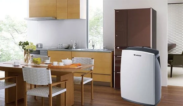 Sử dụng máy hút ẩm để chống ẩm tường