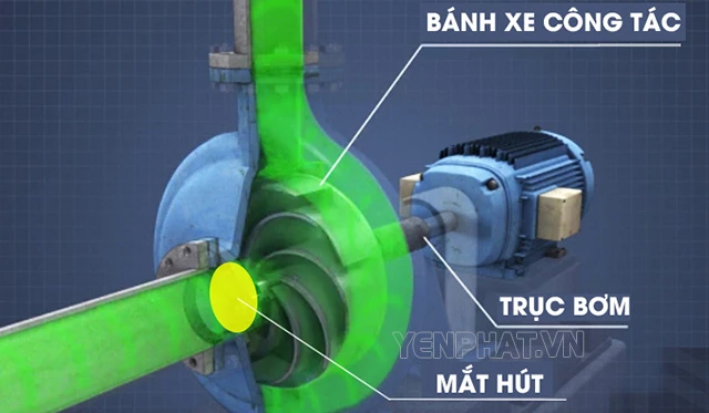 Cấu tạo cơ bản của máy bơm nước Teco 