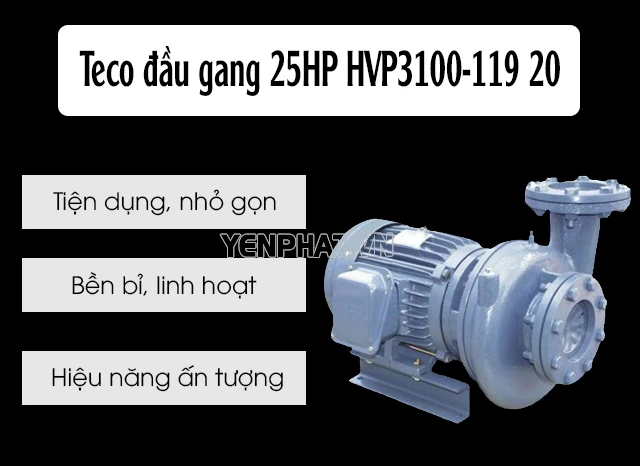 Máy bơm nước ly tâm Teco đầu gang 25HP HVP3100-119 20 