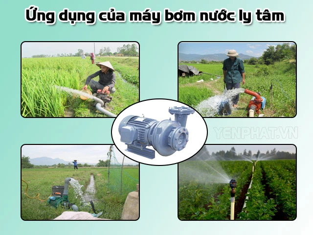 Ứng dụng cơ bản của máy bơm nước trong cuộc sống