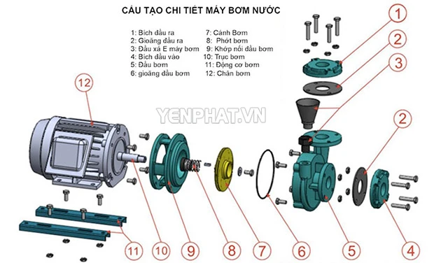 Kết cấu chắc chắn của model máy bơm nước Teco