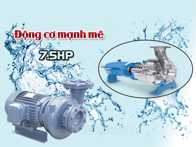 Tìm hiểu về cơ chế hoạt động của máy bơm nước Teco