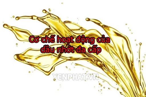 Dầu nhớt đa cấp là gì? Phân biệt dầu đơn cấp và đa cấp