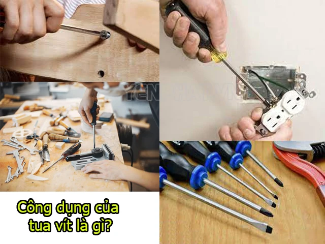 Tô vít có nhiều công dụng khác nhau