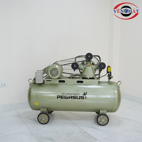 Máy nén khí dây đai Pegasus TM-W-0.36/8-230L 3
