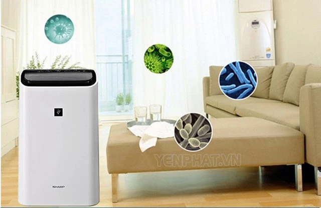 [Bật Mí] TOP 17 Máy Hút Ẩm Sharp Bán Chạy Nhất T10/2025