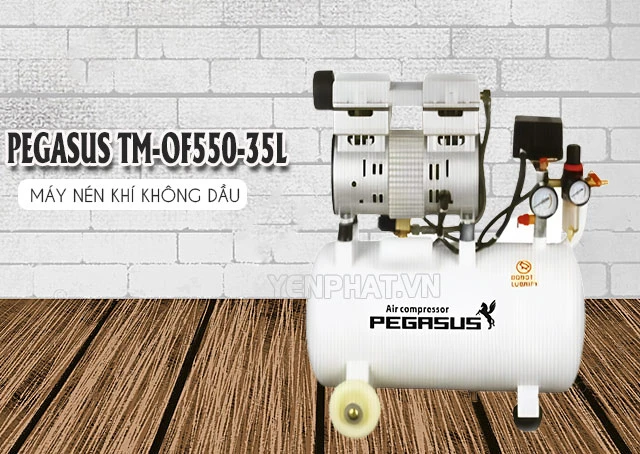 Có nên đầu tư máy nén khí Pegasus TM-OF550-35L không?