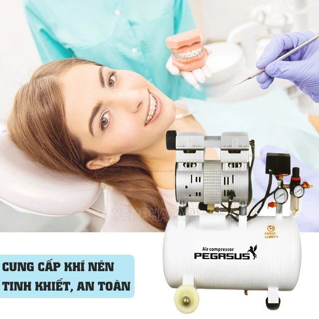 Cần vận hành máy nén khí không dầu Pegasus TM-OF550-35L đúng cách