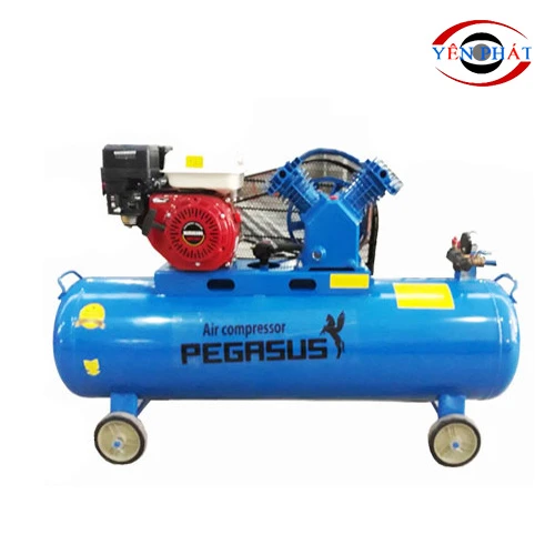 Máy nén khí đầu nổ chạy xăng Pegasus TM-V-0.25/8-100L 1
