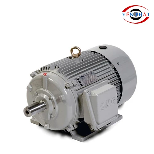 Motor cho máy rửa xe 5,5kW 1