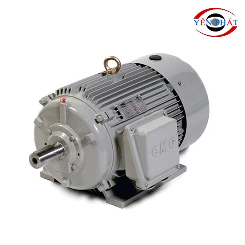 Motor cho máy rửa xe 7,5kW 1