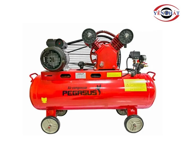 Máy nén Pegasus TM-V-0.12/8-70L