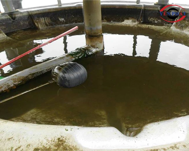 Bồn chứa nước tháp giải nhiệt xuất hiện rong rêu