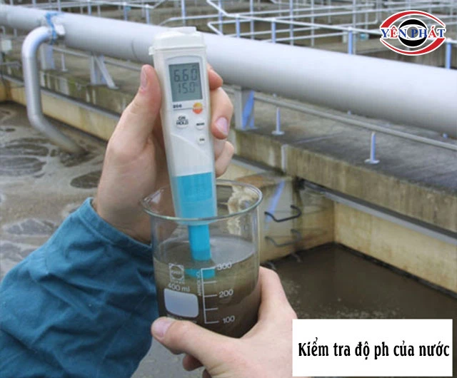 Kiểm tra độ ph của nước