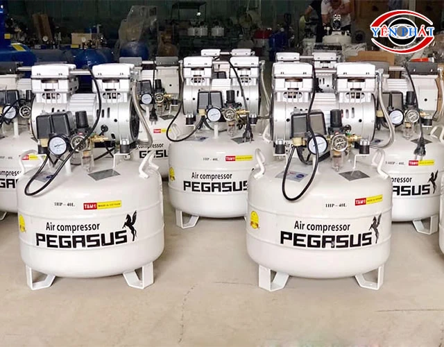 Máy nén khí không dầu Pegasus