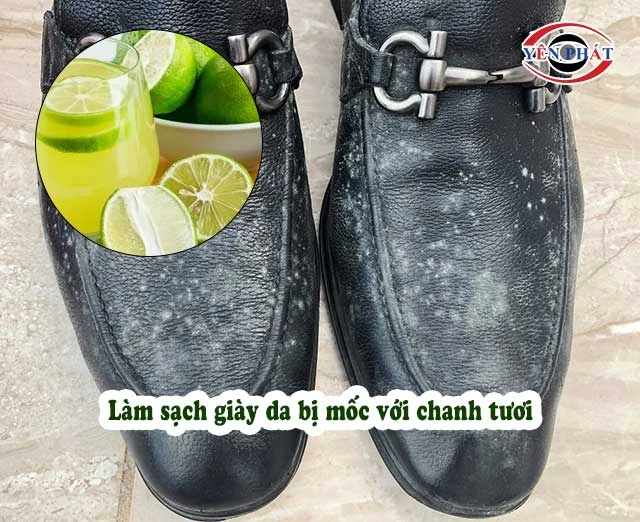 Làm sạch giày da bị mốc với chanh tươi