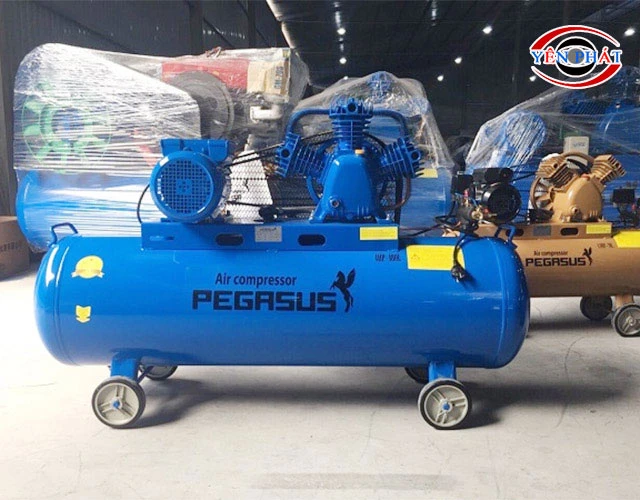 Máy nén khí Pegasus TM-V-0.36/8-180L