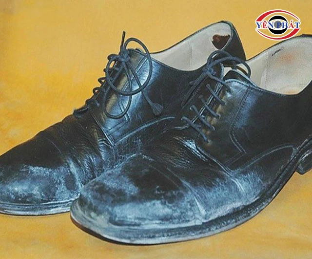 giày da bị nhăn và mốc
