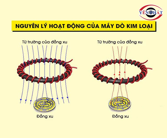 nguyên lý của Máy dò MD5006