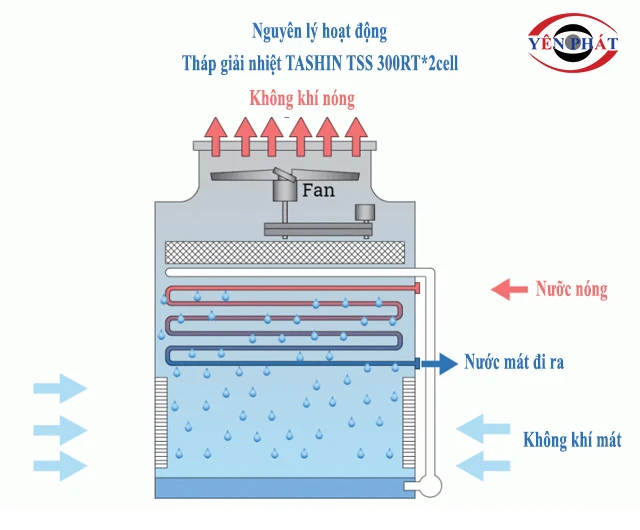 nguyên lý của TSS 300RT*2cell 