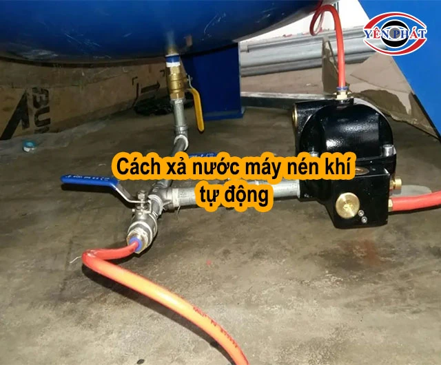 Xả nước máy nén khí tự động 