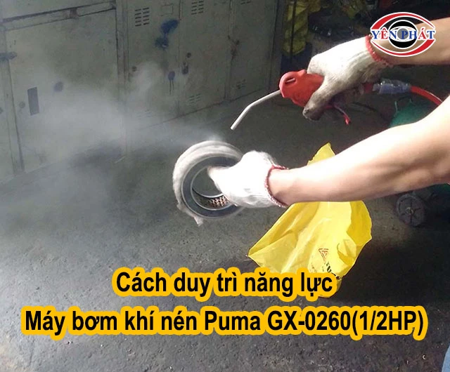 cách duy trì năng lực Máy Puma GX-0260(1/2HP) 