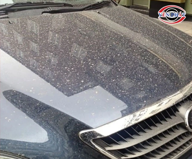 Bụi bẩn bám nhanh