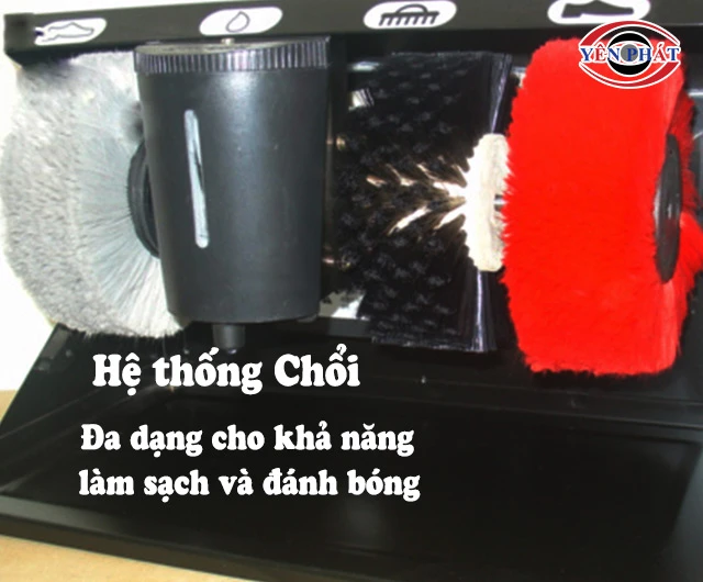 Hệ chổi