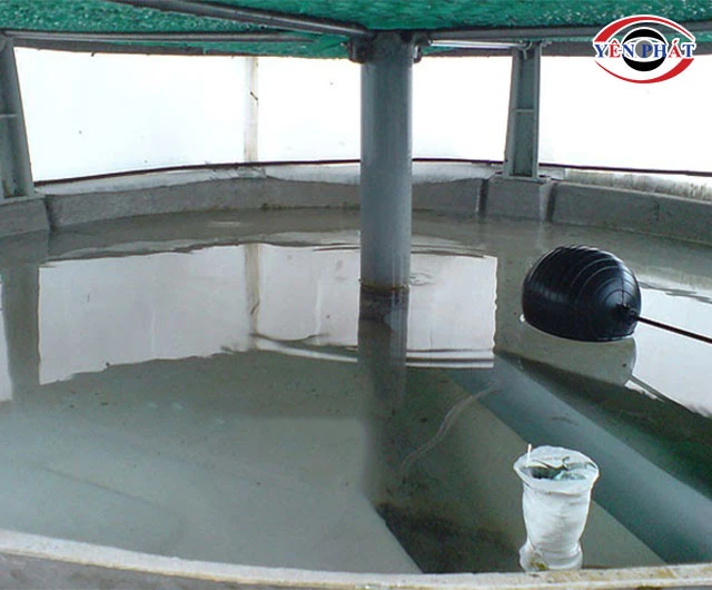 kiểm tra Chất lượng nước