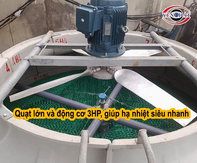 quạt lớn giúp hạ nhiệt nhanh