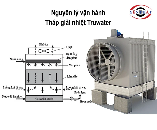 Nguyên lý vận hành của tháp Truwater