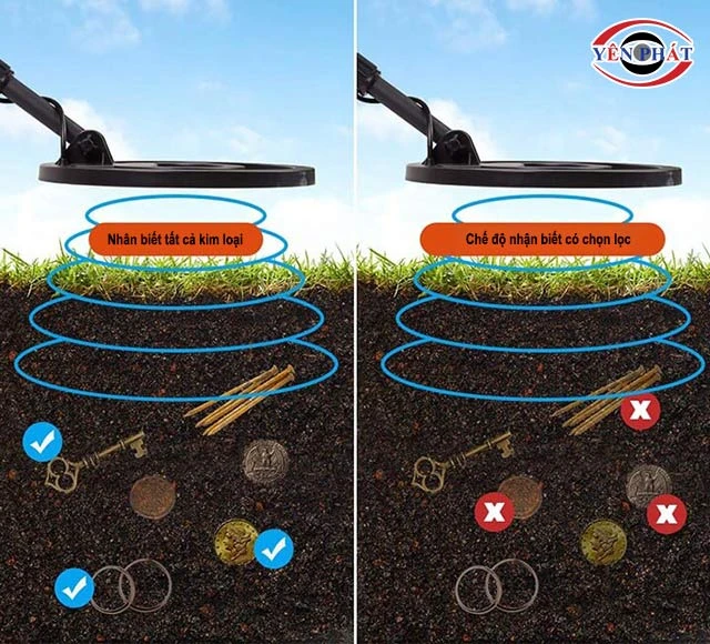 Phát hiện siêu nhanh, chính xác