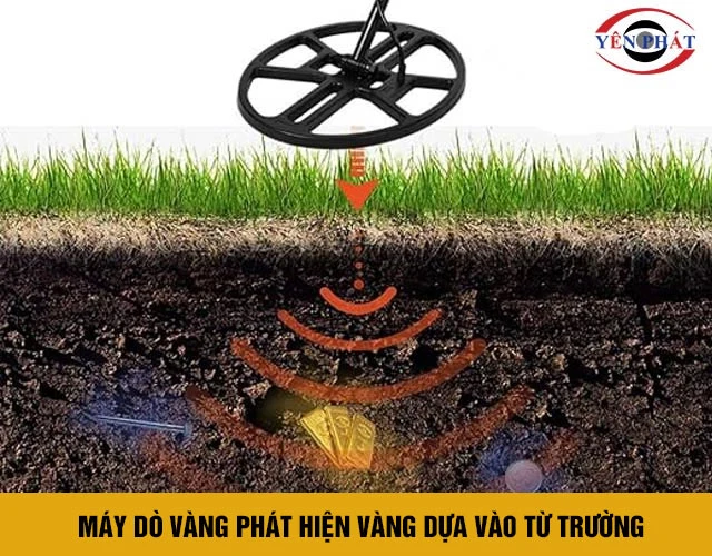 Nguyên lý máy dò vàng