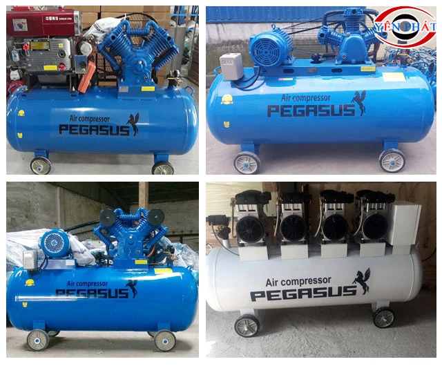 Máy nén khí công nghiệp Pegasus